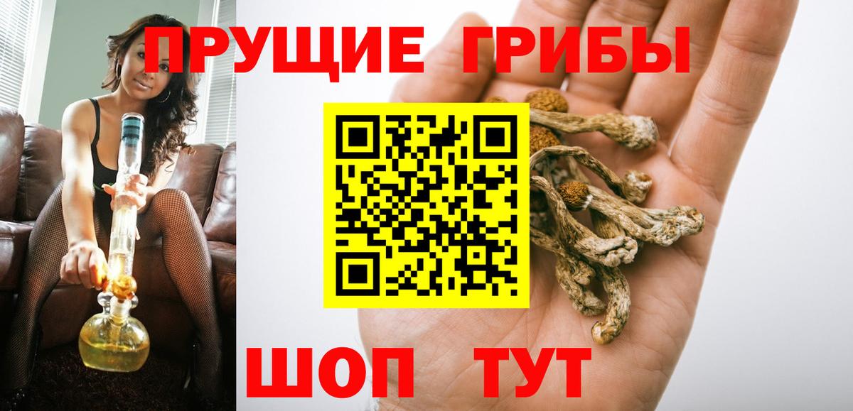 Пыть-Ях  Псилоцибиновые грибы Psilocybe  Вход с VPN 